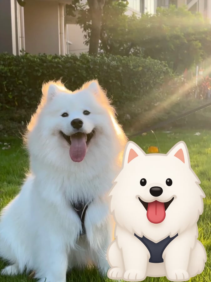 Social media ready emoji outputs