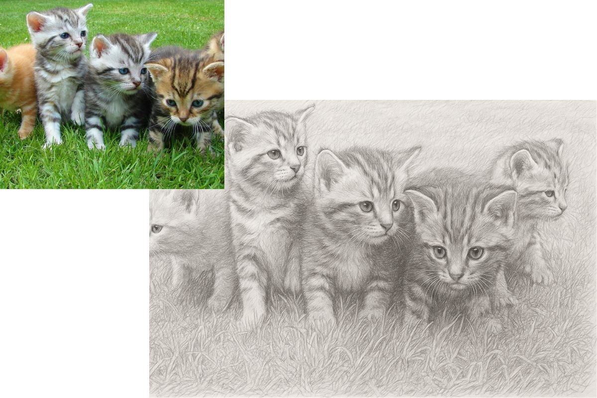 Free photo to sketch drawing online