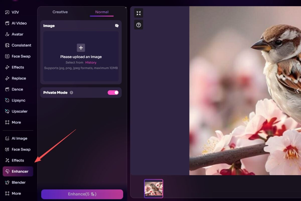 A high-quality image demonstrating clean detail and clarity after smart expansion.