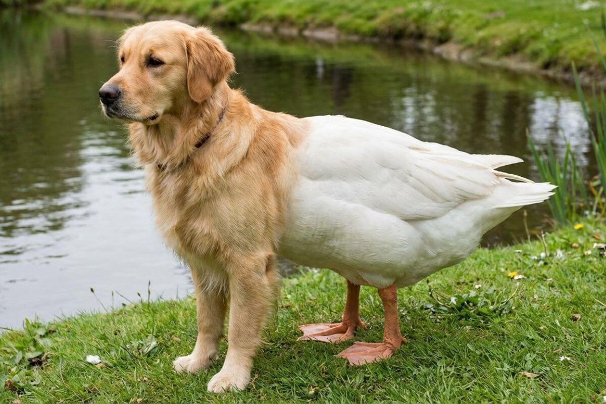 Character consistency and identity-stable outputs