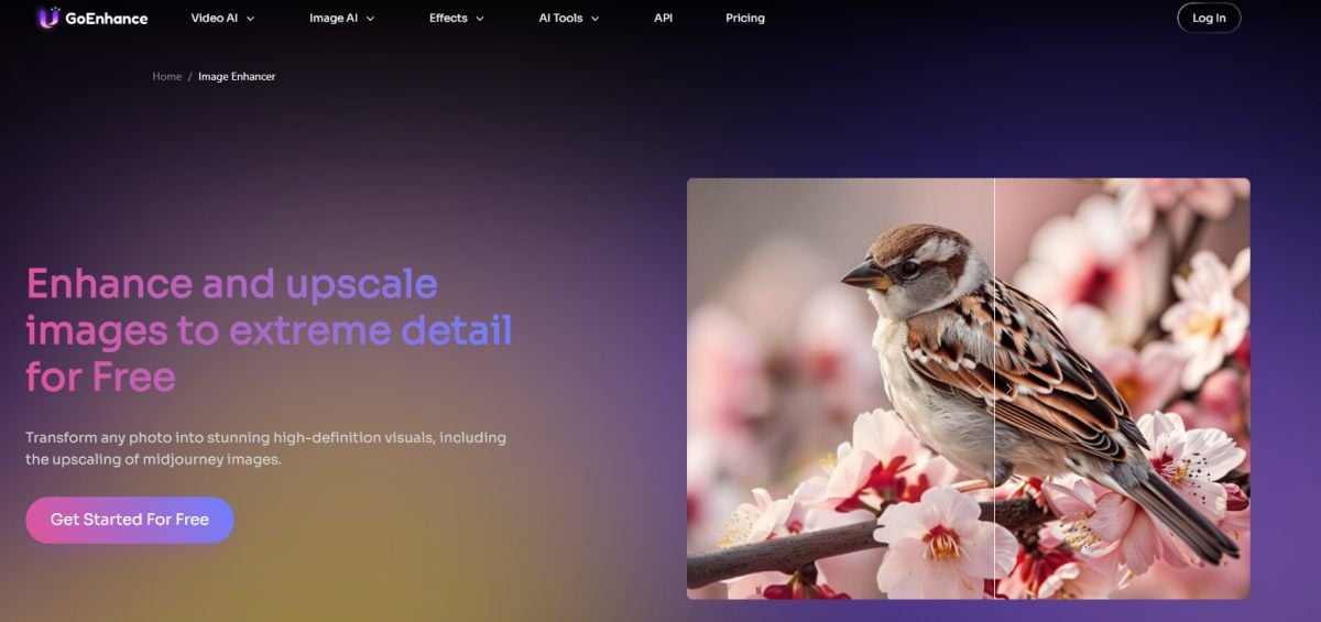 GoEnhance AI图片增强器