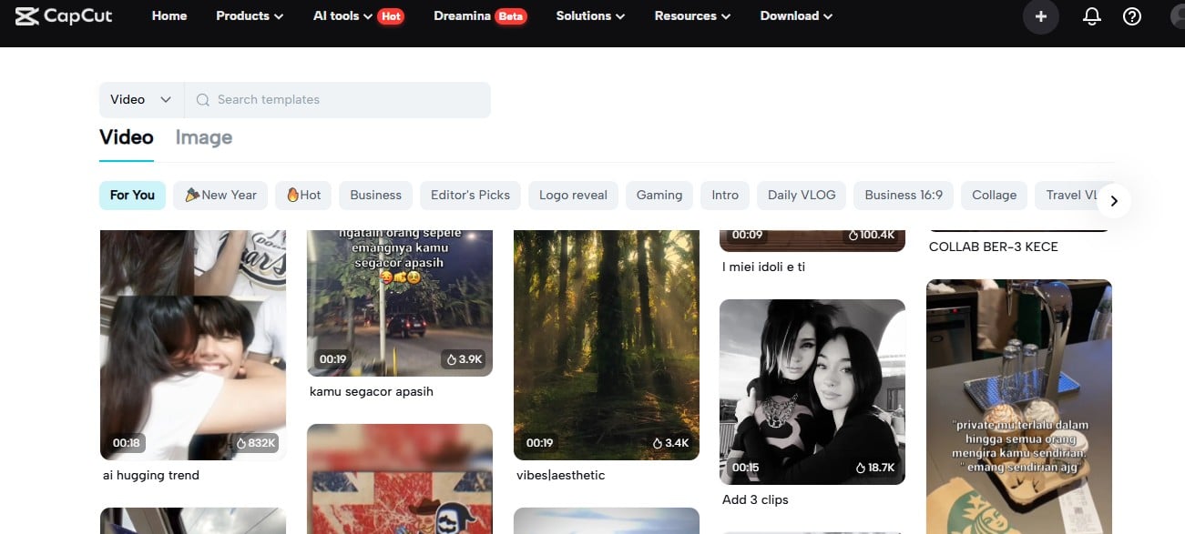 Canva brand kit dashboard