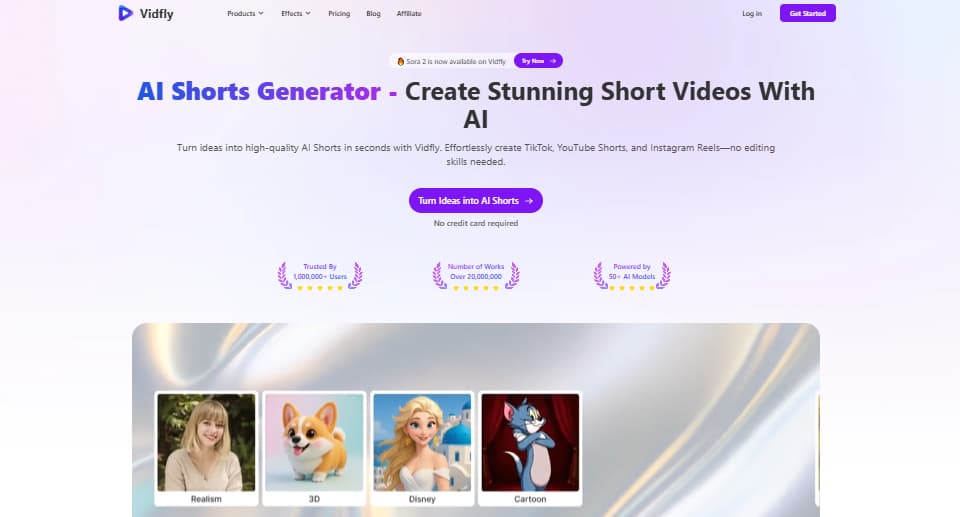 Vidfly Drehbuch zu Video