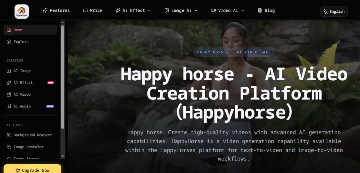 HappyHorse 平台描述