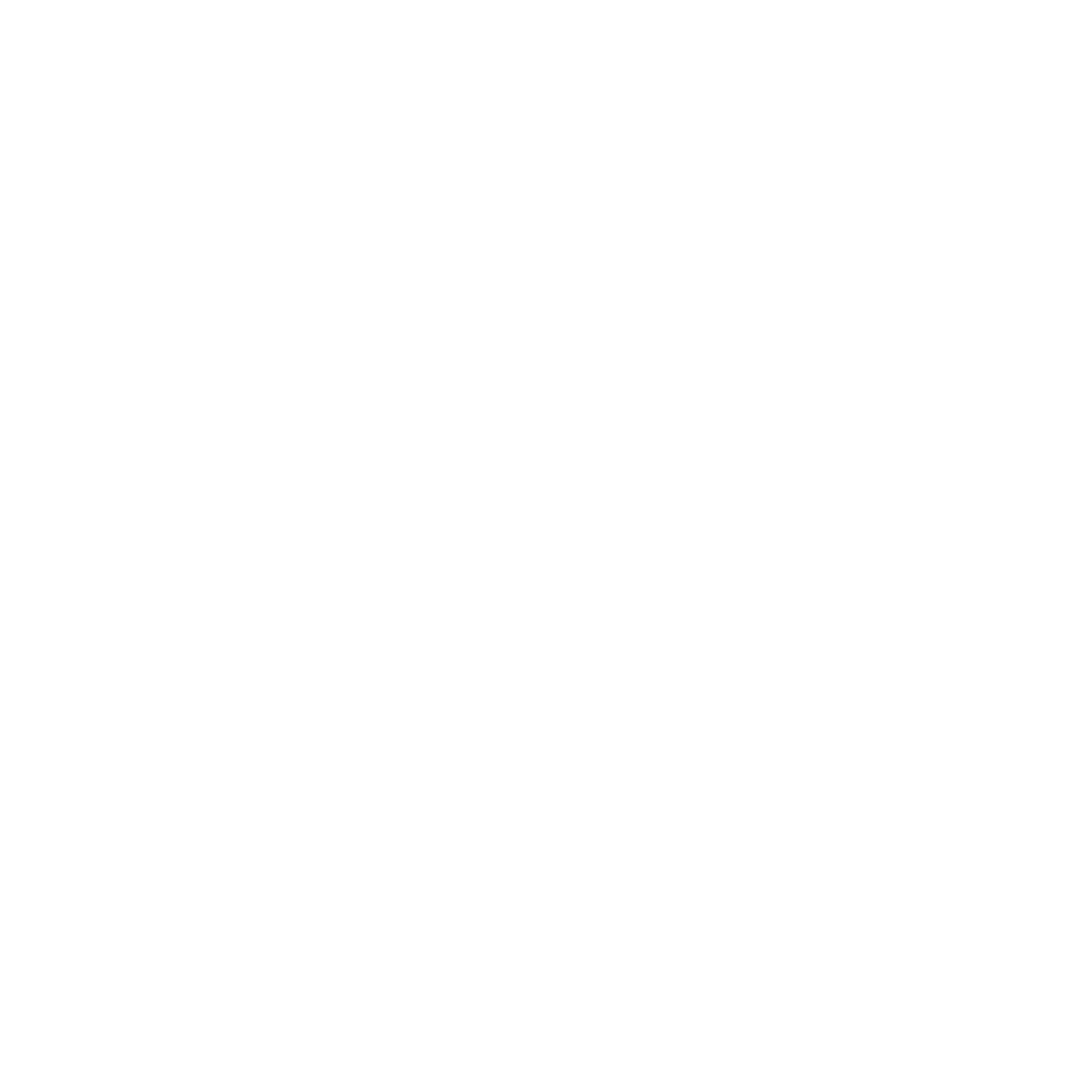 Flux Dev